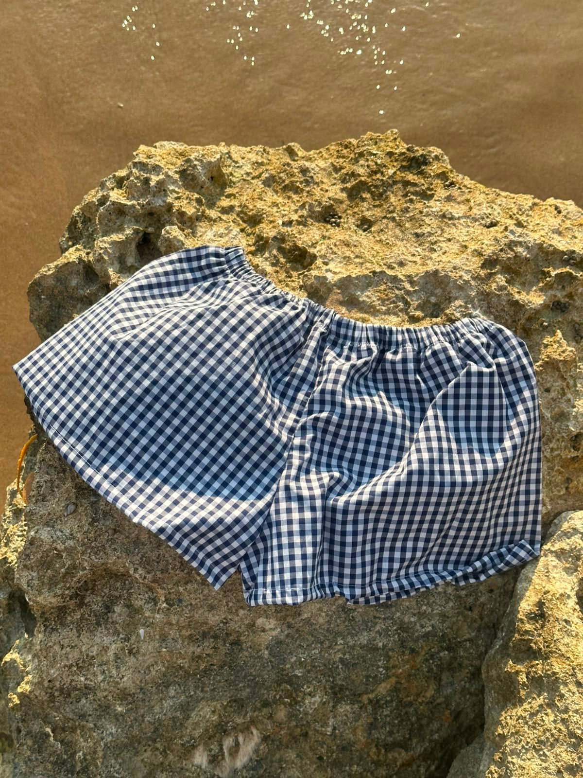 Blueberry Mini Shorts